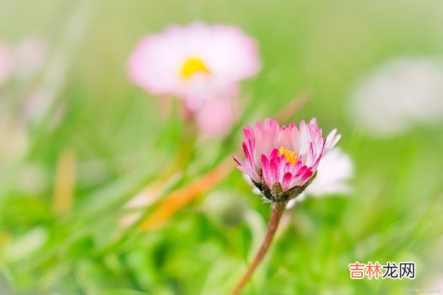 01引言人人都想做一个高情商的人 喜欢说讥讽话的人，往往都是高情商的表现