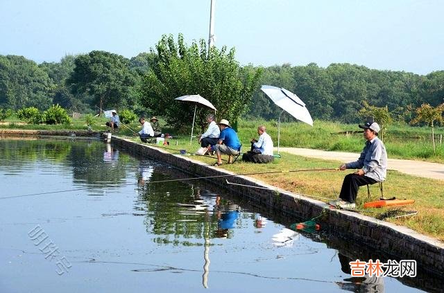 上个月 又一起离婚事件,原因还是为了钓鱼