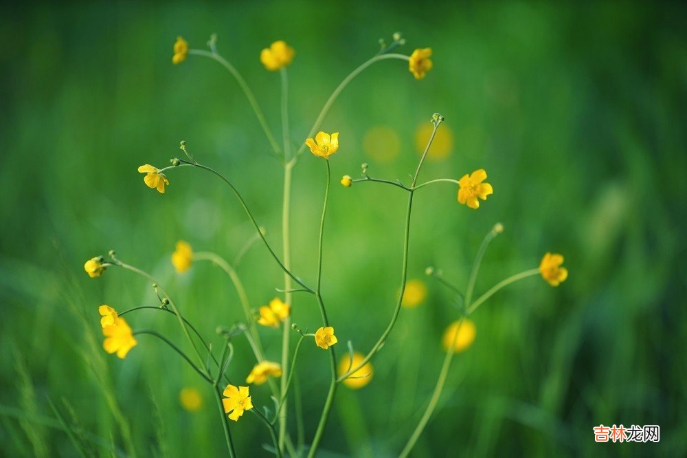 过来人的总结：5条婚姻忠告，每一条都值得你照做