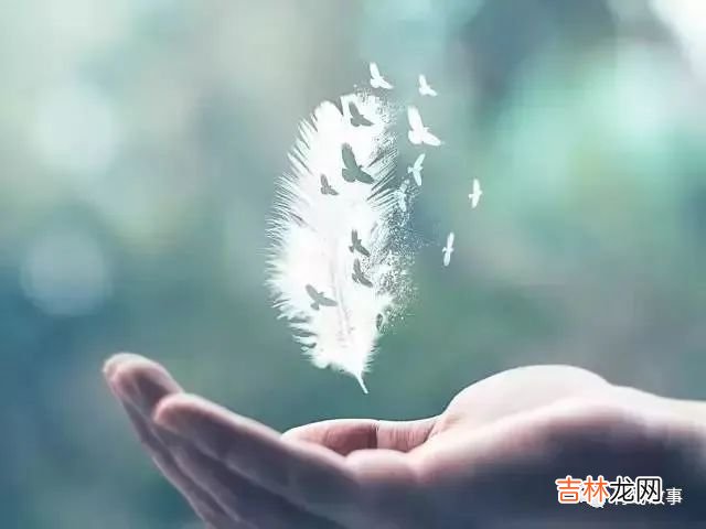 伤脑筋的恋爱观