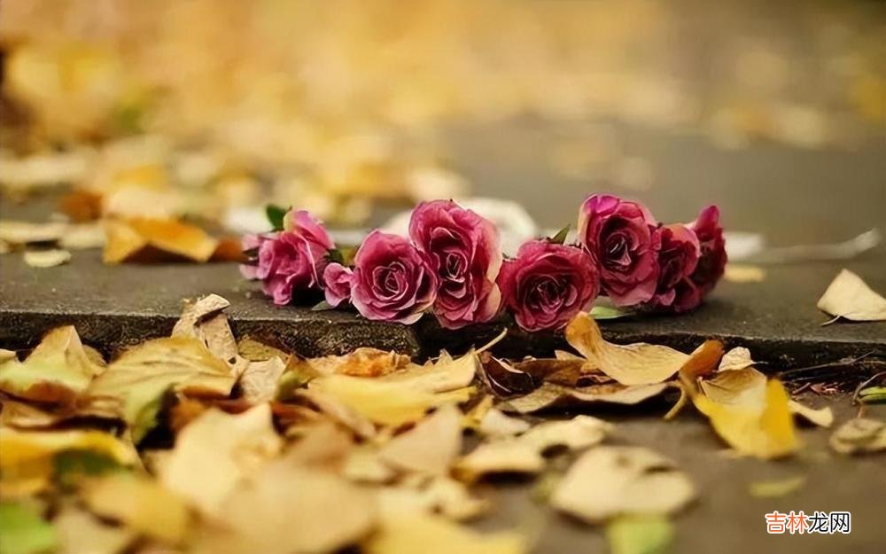 感情中,女人学会富养自己