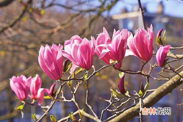 01亲密关系需要经营 放下执念，才会真正地拥抱幸福