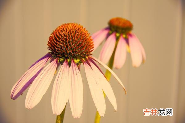 1婚姻危机=受伤害 在婚姻危机面前,自我防御就会“贴身”保护你
