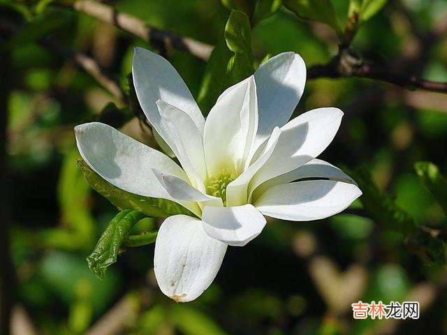 1婚姻危机=受伤害 在婚姻危机面前,自我防御就会“贴身”保护你