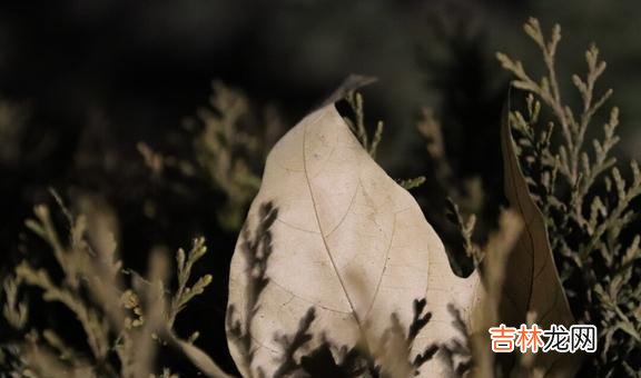 退休之后有些事情 退休之后，不管你多抠门，也不要省以下这几种钱