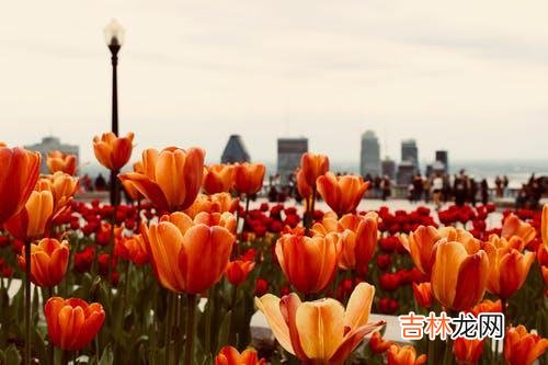 承认吧，背叛发生钱，婚姻给了你暗示