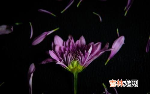 放不下过去的人常有两个特点:情感上存在“内在自卑”