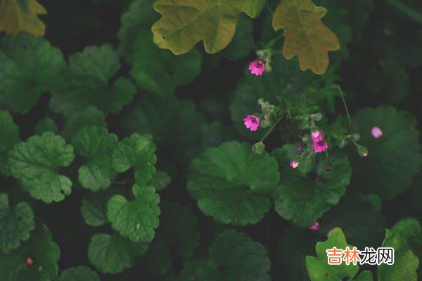 学会提升“感受爱”的能力，让自己成为婚姻里幸福的动力源