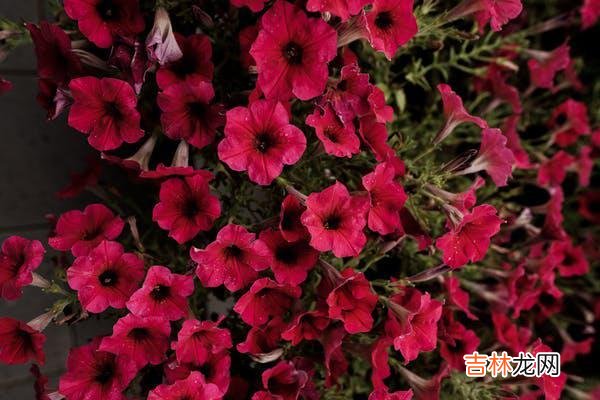 婚姻遇到了危机,该怎么办,该怎么处理