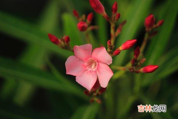 婚姻遇到了危机,该怎么办,该怎么处理