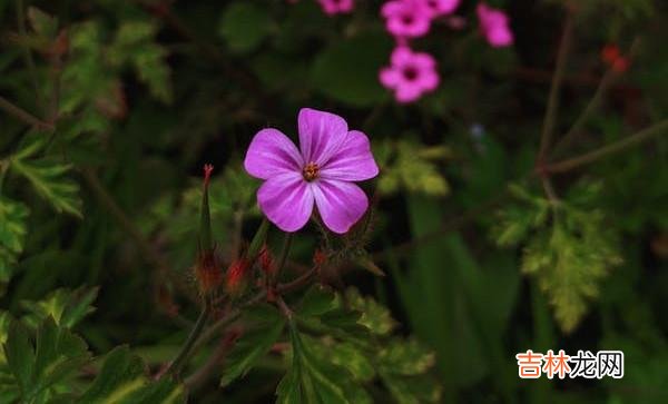 修复婚姻，却又无法重建信任怎么办？