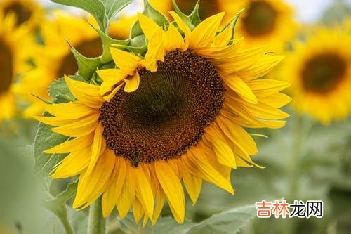 修复婚姻，却又无法重建信任怎么办？