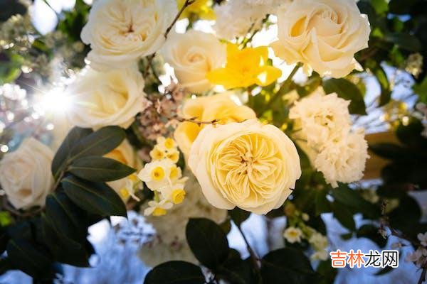 01为什么婚姻会遇到背叛 婚姻背叛的痛苦，会带来的三个真相