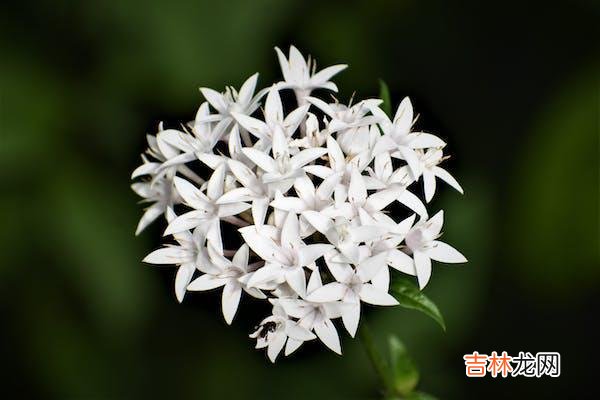 01为什么婚姻会遇到背叛 婚姻背叛的痛苦,会带来的三个真相