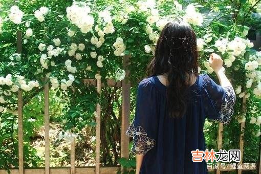 记得在网上 作为男人，婚后你们的收入会上交给老婆吗？