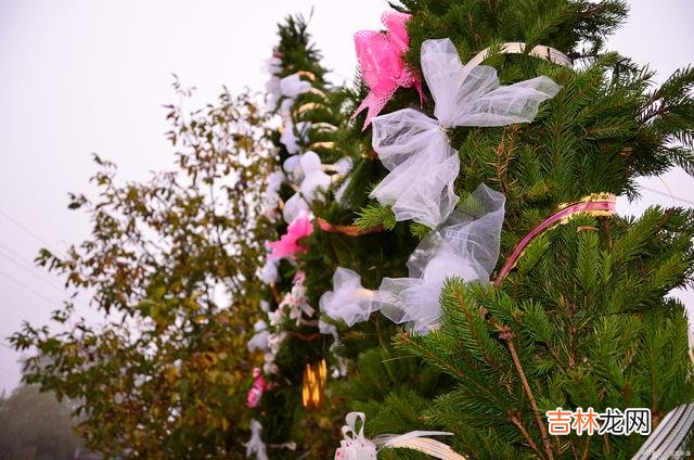 真的 女人不要因为同情，嫁给一个男人，会输得很惨