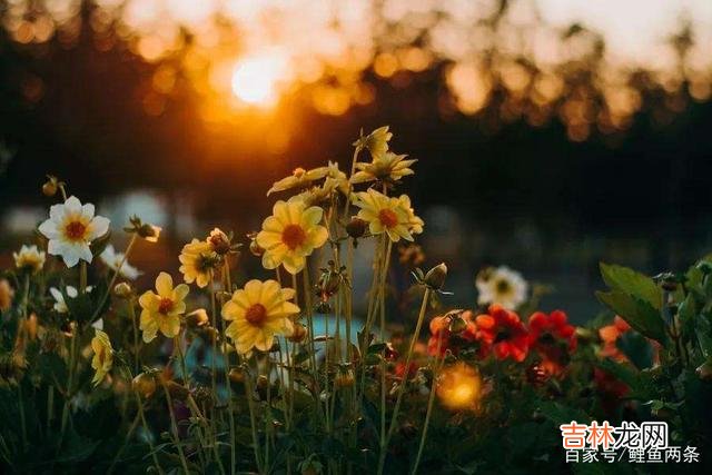 我不止一次说过一个观点:曾经爱过的人 对于前任,她最后的态度是:从此以后,我不会再联系你