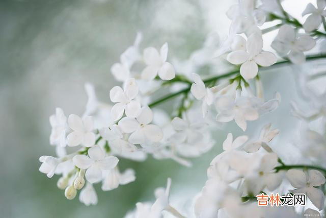 看到这样一段话：所谓爱一个人 在爱情里，你个人的第六感，绝对比对方告诉你的话要真实很多