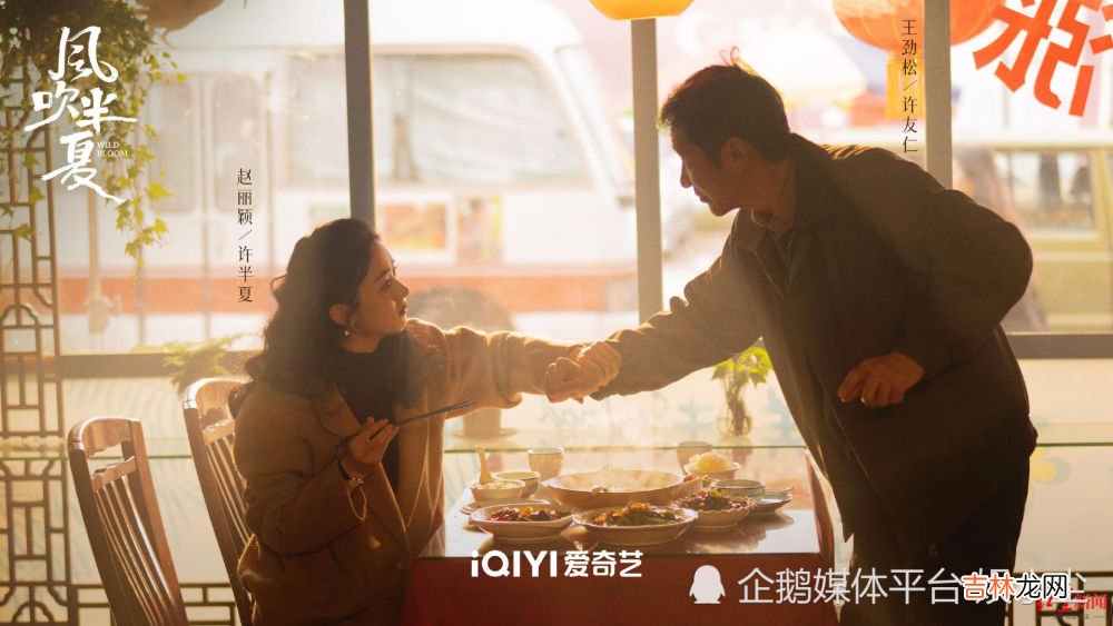 从收废品到钢铁一姐，赵丽颖的《风吹半夏》凭什么拿下年度剧王？