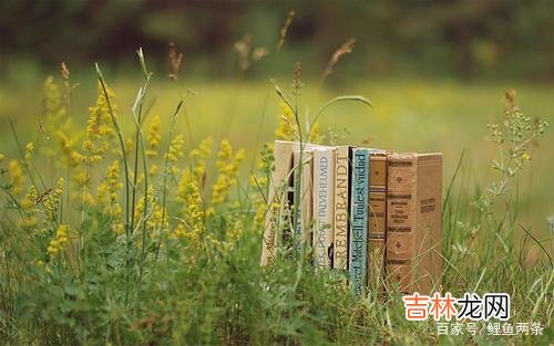 糟了 为什么有些女人会对一个男人产生怜爱？