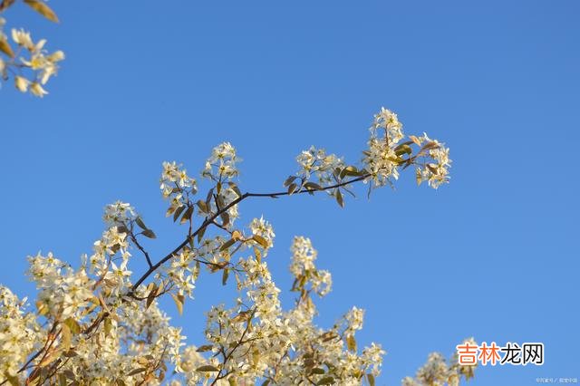 爱这个字 到了一定年纪,你终会醒悟:男人眼中,最重要的从不是爱情