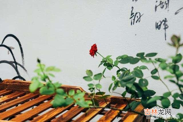 你在生活中 如果你真的爱一个人，要趁早说起来，不要拖拖拉拉