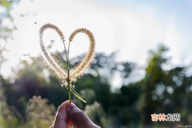 一个心态不好的人，随便一件事，都能影响自己的心情