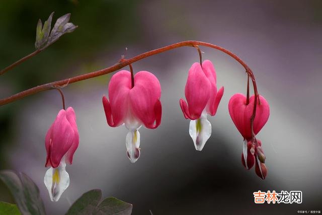 真心爱过的人，不管分开多久，再见还是会心动