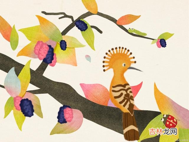 01.听一个朋友说了这样一件事。|不管你们的关系多好，始终还是要保持着一定的距离和客气