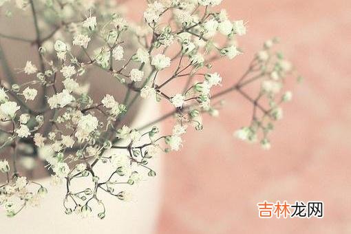 双向奔赴的 男人不喜欢你的时候,会用两个字“没空”来拒绝你,别不懂