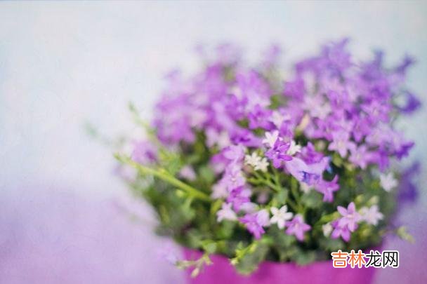 你发现了吗？现如今的女人似乎越来越难追了。|如果你在这两方面越界，你们的关系自然会越进一步