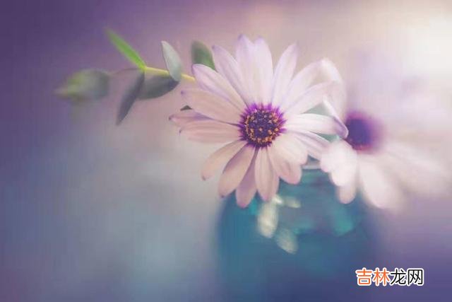 你发现了吗？现如今的女人似乎越来越难追了。|如果你在这两方面越界，你们的关系自然会越进一步