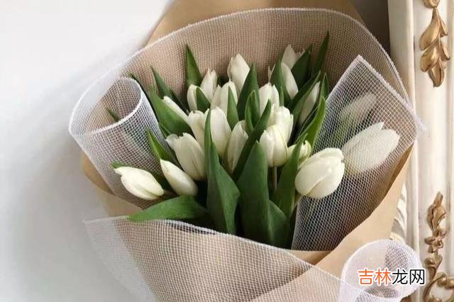 俗语说 老了，走不动了，以上提到的三件事最好守口如瓶