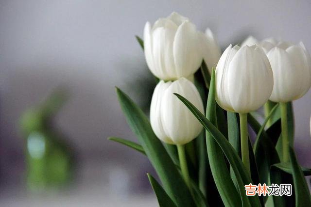 俗语说 老了，走不动了，以上提到的三件事最好守口如瓶