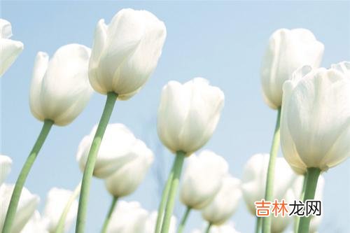 俗语说 老了，走不动了，以上提到的三件事最好守口如瓶