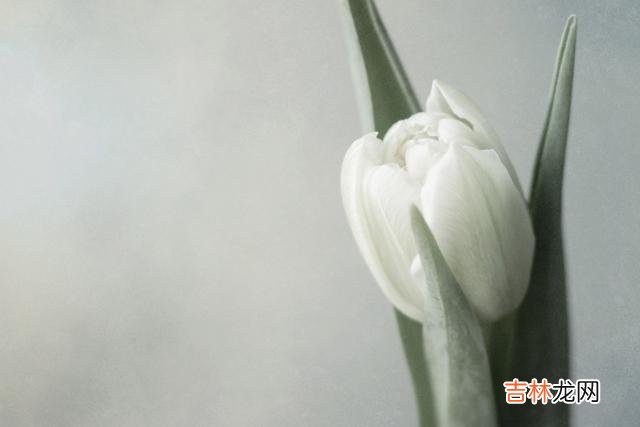 俗语说 老了，走不动了，以上提到的三件事最好守口如瓶