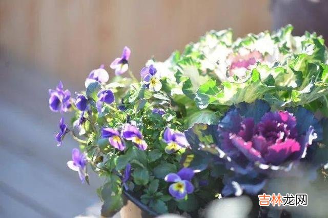身为父母都想要给儿女最好的 人老了，给儿女留下3样东西，幸福才是最大的