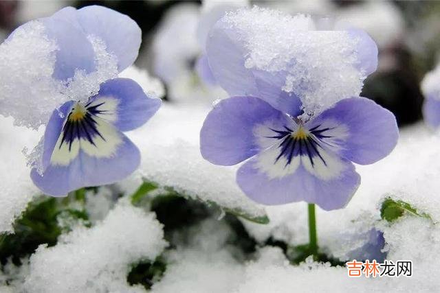 身为父母都想要给儿女最好的 人老了，给儿女留下3样东西，幸福才是最大的