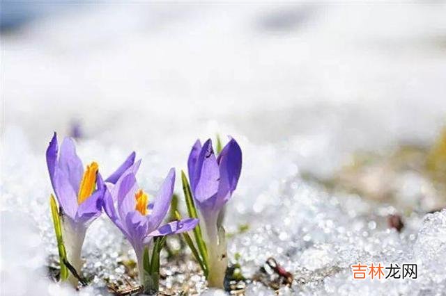 身为父母都想要给儿女最好的 人老了，给儿女留下3样东西，幸福才是最大的
