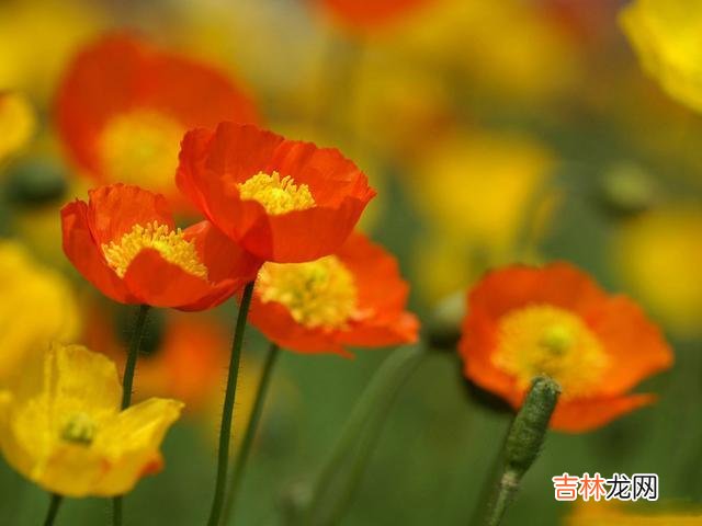 对于发生亲密关系 男人有这三种表现,说明他已经动了真情