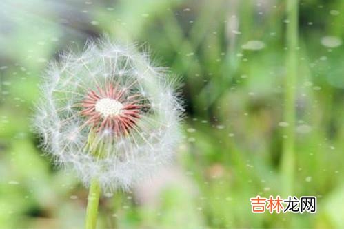 感情是否能走到最后 三观不正的女孩子，注定无法成为他心目中的贤妻良母