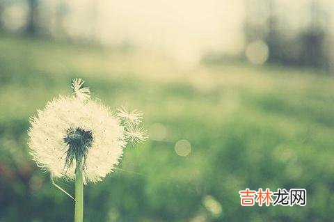 感情是否能走到最后 三观不正的女孩子，注定无法成为他心目中的贤妻良母