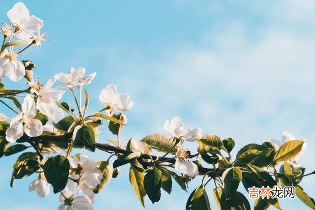 名字是一个符号 中年人对一个人的感情是否越界，从他对对方的称呼中便可知道分晓