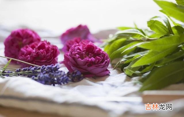真爱向来是可遇不可求的 男人在两种情况下想念一个女人，但只有第二种才是真爱