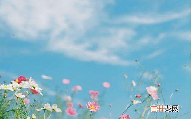 你发现了吗?现在的人似乎越来越没有精力 心理学:相处不累的男女关系,会让你活得越来越轻松