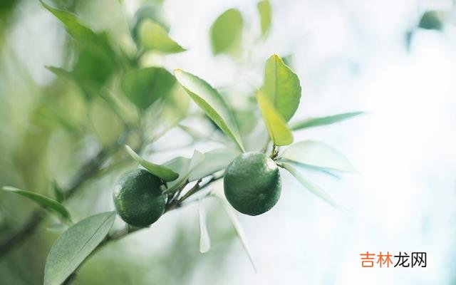 喜欢独处的人，往往更值得深交，不要错过这三种癖好