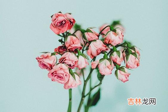喜欢独处的人，往往更值得深交，不要错过这三种癖好