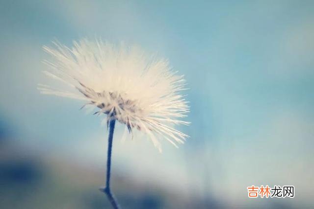 越是爱得用力的爱情 女生眼中属于“舔”的表现，男人要少做