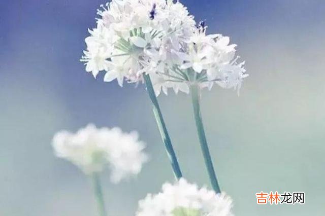 身处在这样一个瞬息万变又信息爆炸的时代里 人在年轻时期的烦恼和焦虑，多来自于证明自己，多读书、看看报