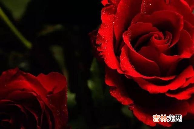 当处在五十岁的关卡时 人过五十岁，请用三种方式富养自己，这才是晚年真正的远见